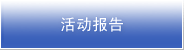 活动报告